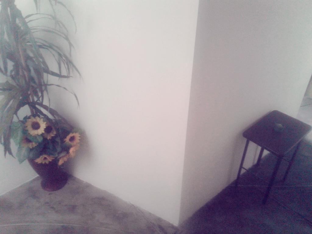La Casa Del Che Fernando Homestay