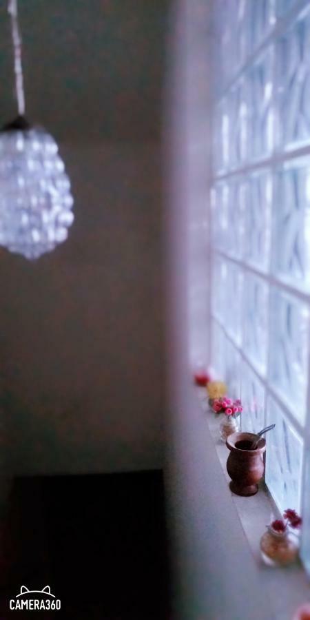 La Casa Del Che Fernando Homestay Lima